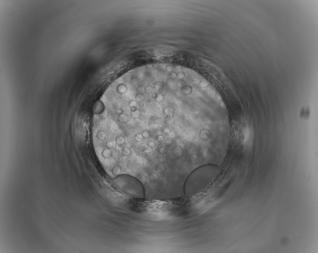 X0000094910527200712201200