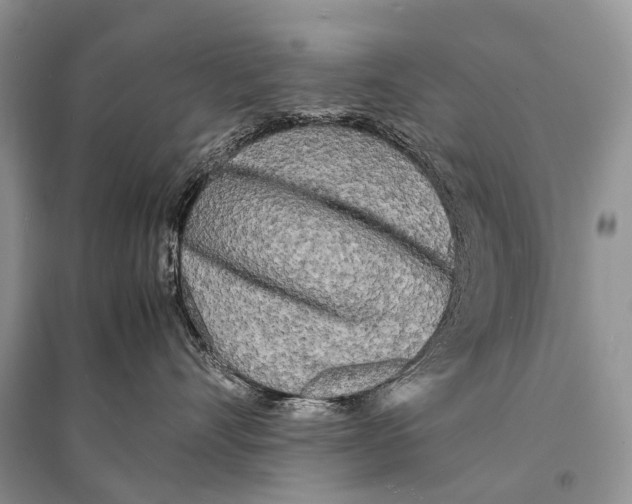 X0000094910528200712201200