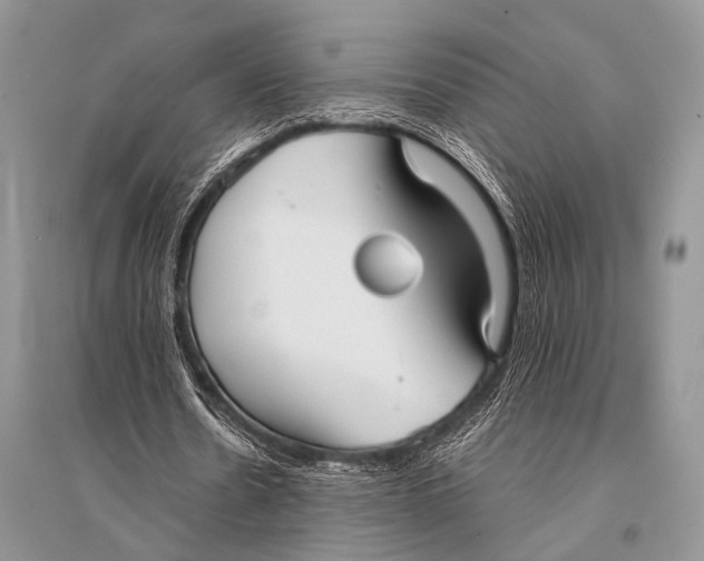 X0000094910530200712201159