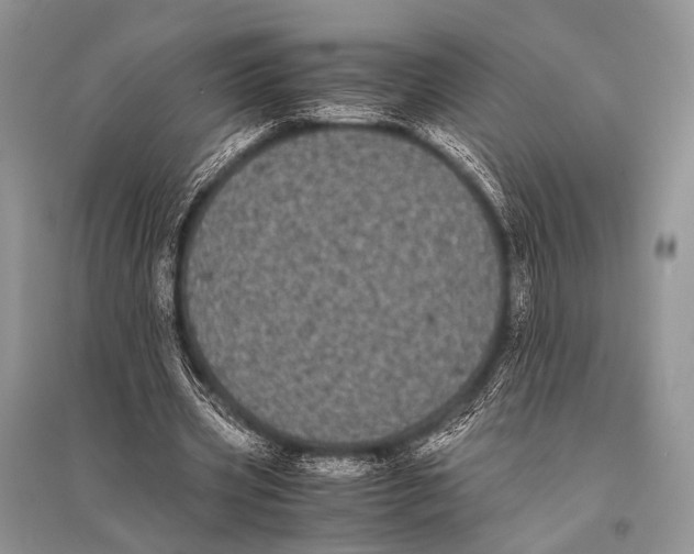 X0000094910533200712201159