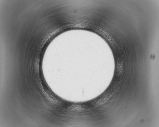 X0000094910534200712201159