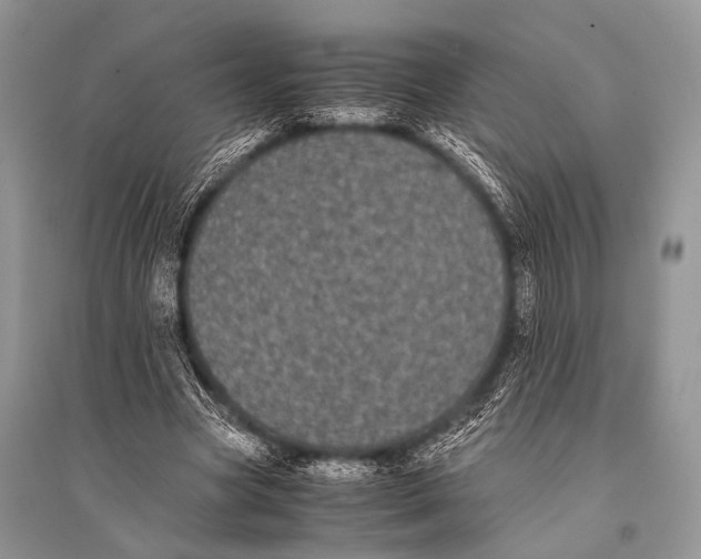 X0000094910537200712201159