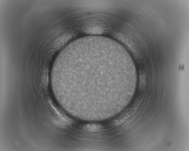 X0000094910541200712201159