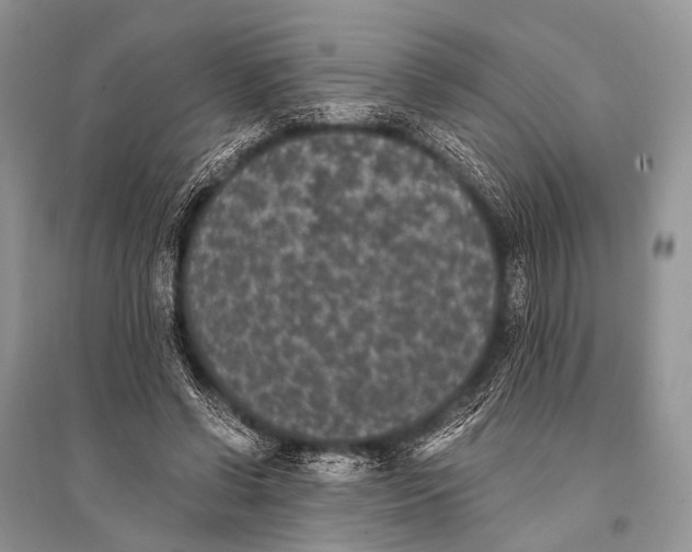 X0000094910542200712201159