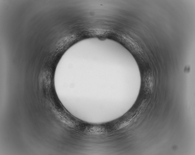 X0000094910546200712201200