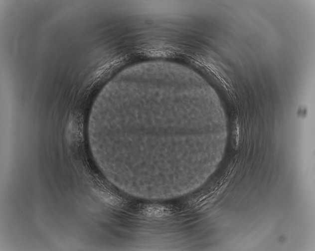 X0000094910547200712201200