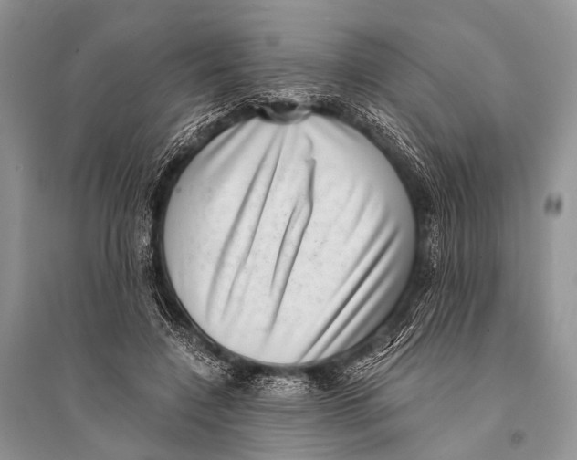 X0000094910548200712201200