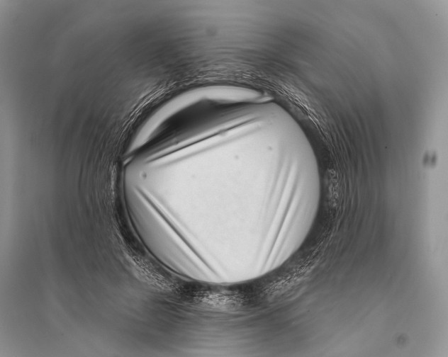 X0000094910550200712201200