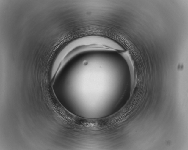 X0000094910552200712201200