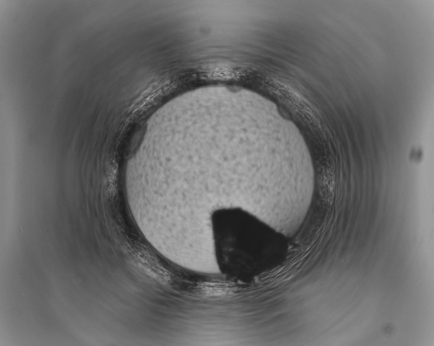 X0000094910556200712201200