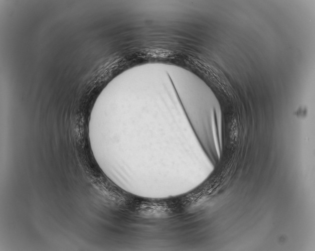 X0000094910559200712201200