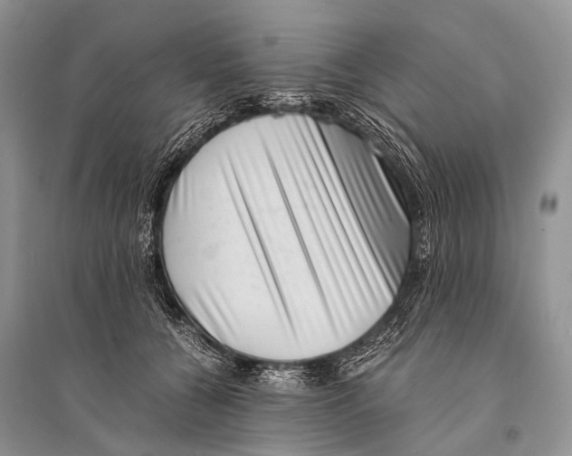 X0000094910560200712201200