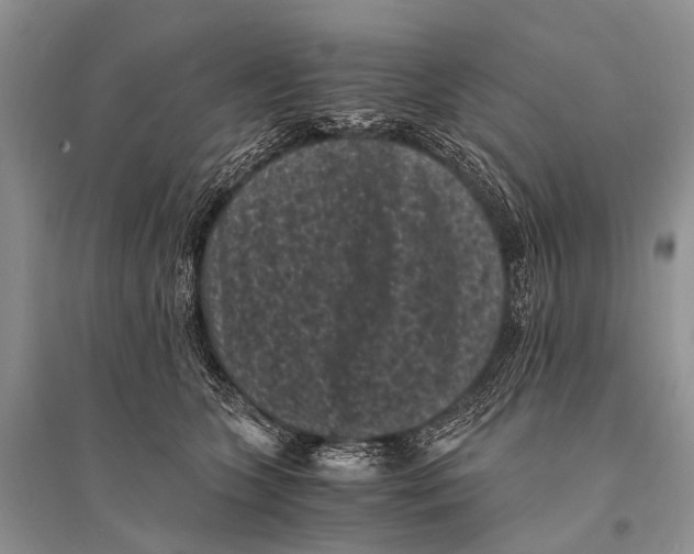 X0000094910563200712201200