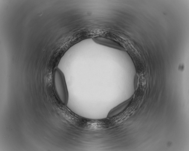 X0000094910564200712201200