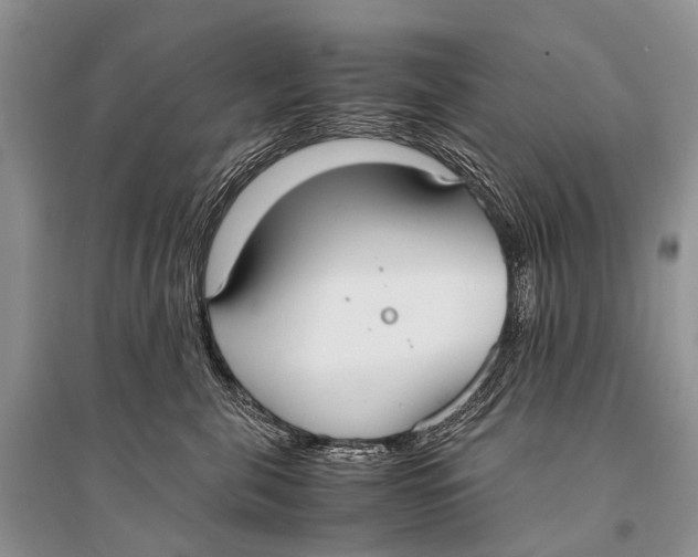 X0000094910571200712201200