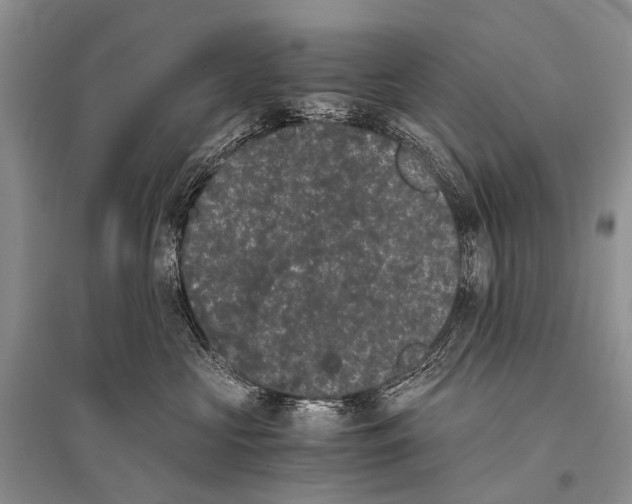 X0000094910573200712201200