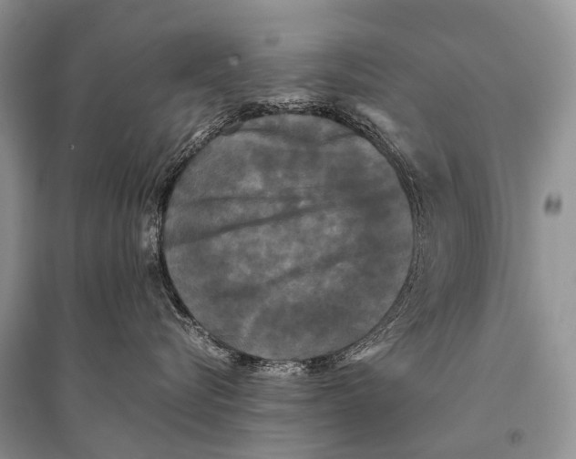 X0000094910576200712201200