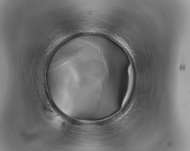 X0000094910577200712201159