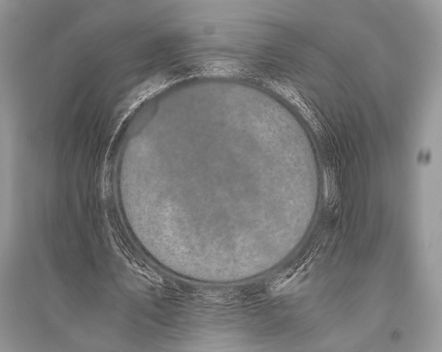 X0000094910579200712201159