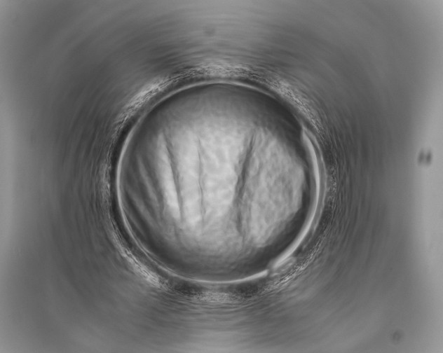 X0000094910581200712201159