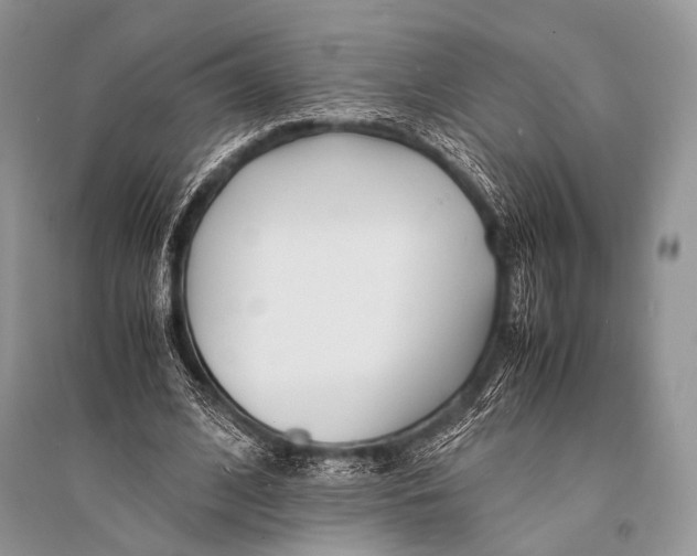 X0000094910584200712201159