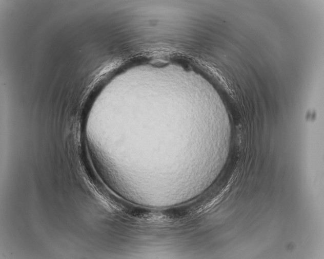X0000094910589200712201159