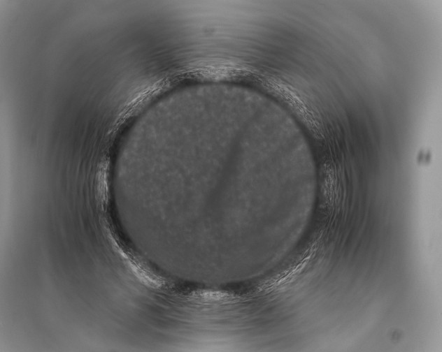 X0000094910590200712201159