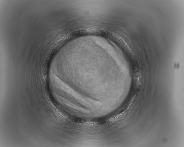 X0000094910593200712201159