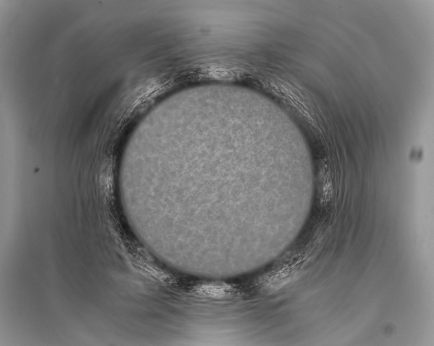 X0000094910595200712201159