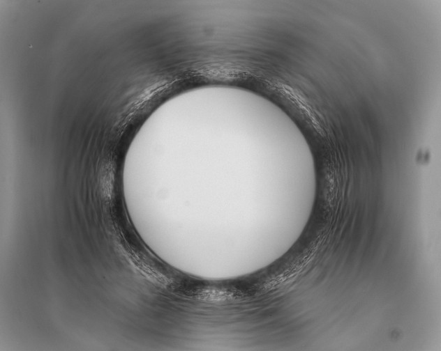 X0000094910596200712201159