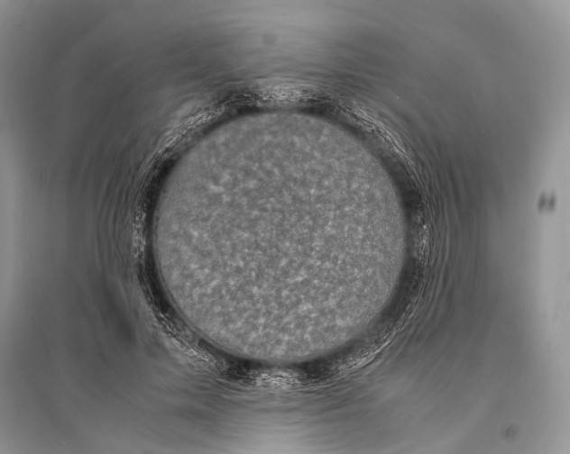X0000094910599200712201159