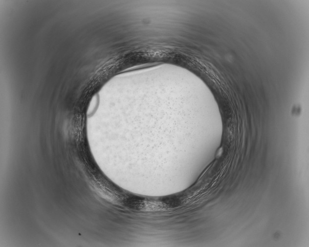 X0000094910605200712201159