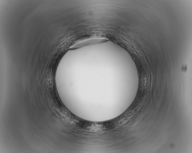 X0000094910609200712201159