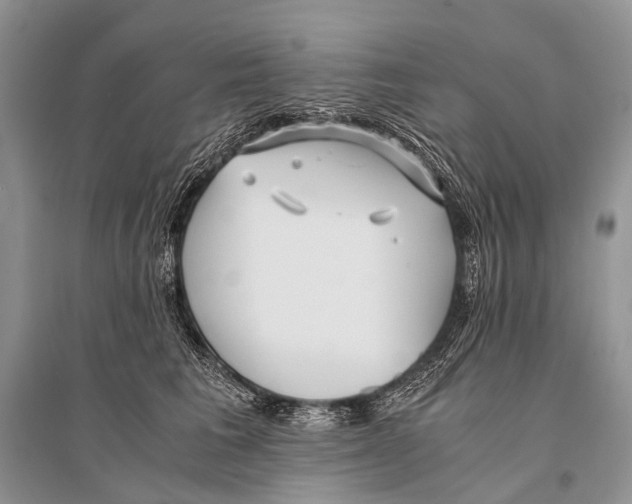 X0000094910613200712201159