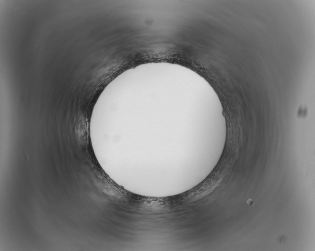 X0000094910624200712201159
