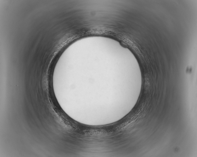 X0000094910626200712201158