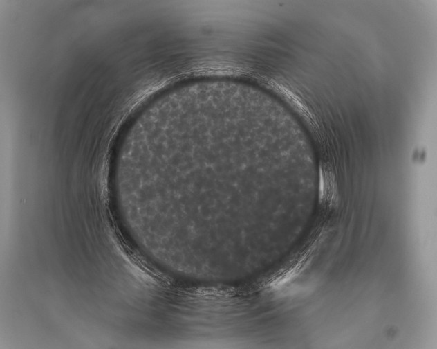 X0000094910627200712201158