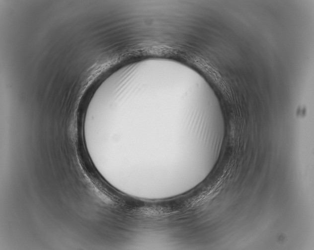 X0000094910630200712201158