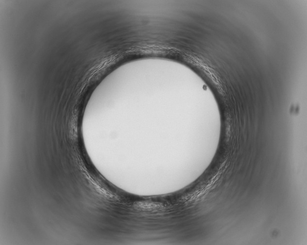 X0000094910633200712201158