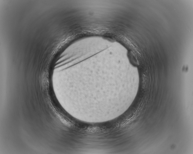 X0000094910634200712201158