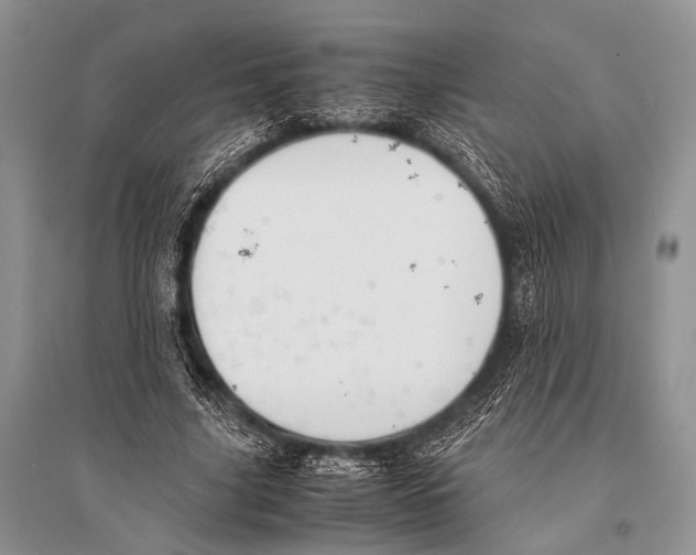 X0000094910635200712201158