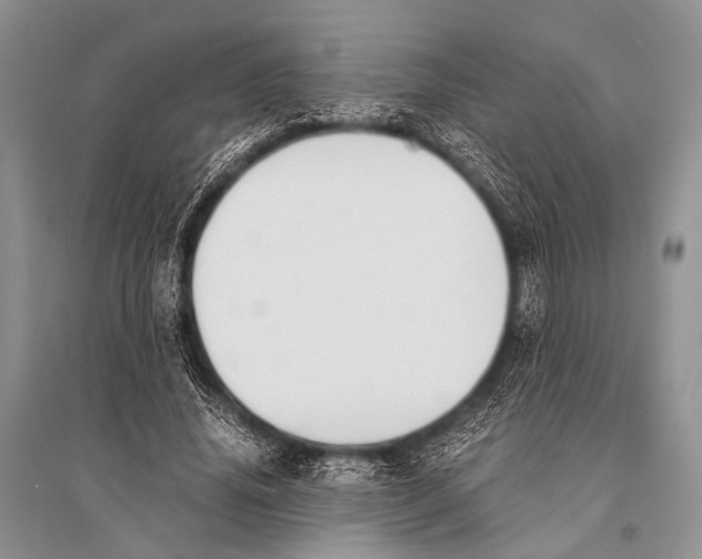 X0000094910636200712201158