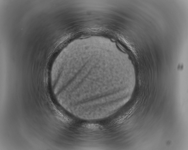 X0000094910637200712201158