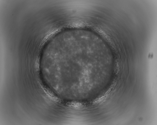 X0000094910640200712201158