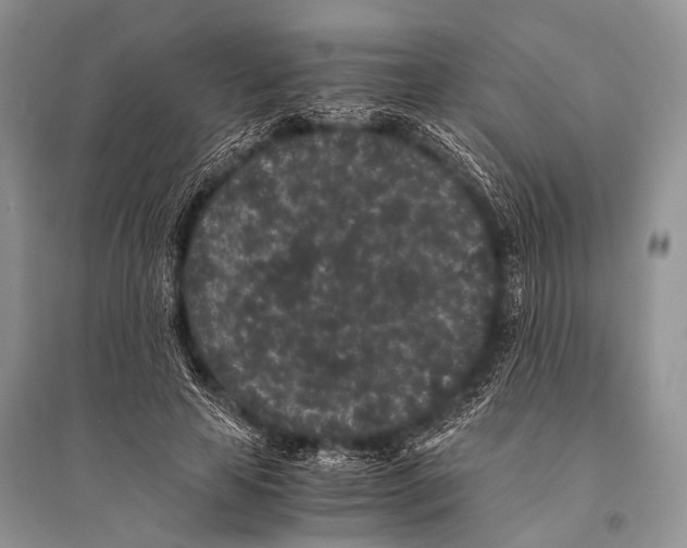 X0000094910641200712201158