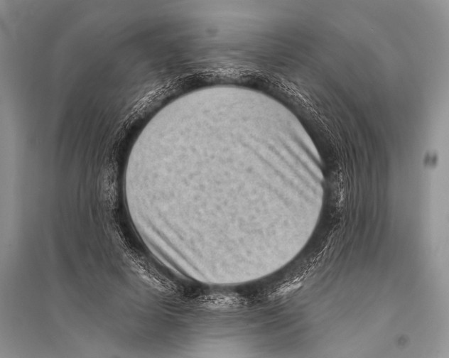 X0000094910642200712201158