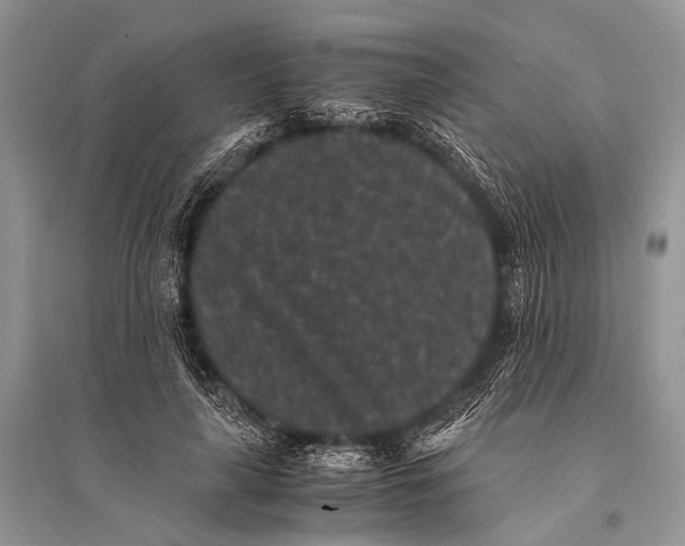X0000094910643200712201158