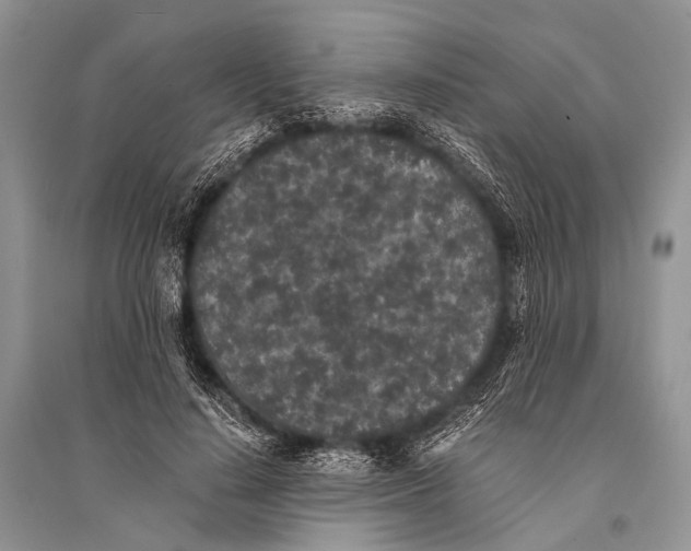 X0000094910644200712201158