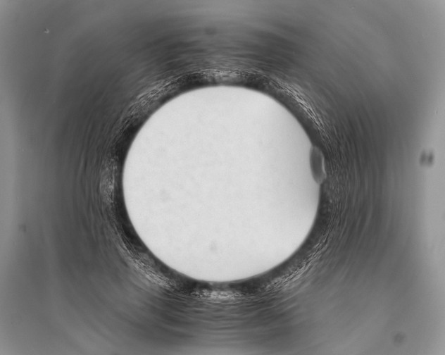 X0000094910645200712201158