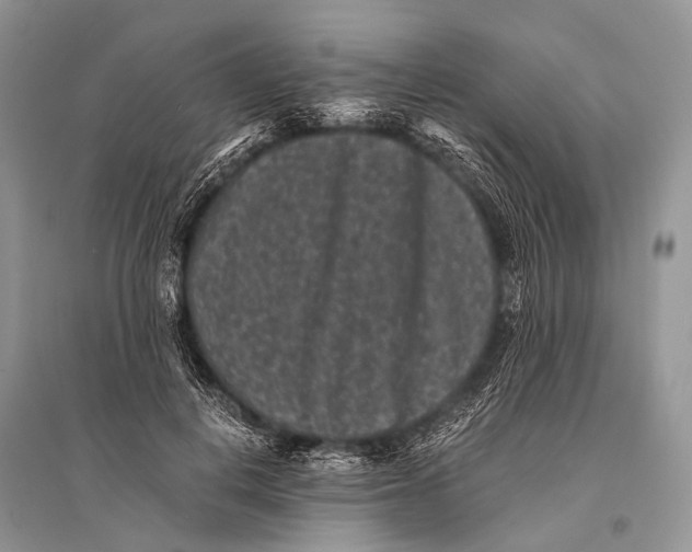 X0000094910648200712201158